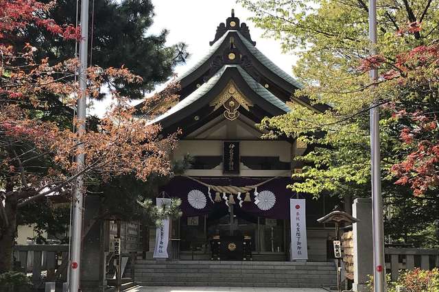 神社 弥彦