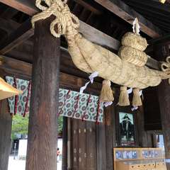 投稿日:2016年6月19日 写真