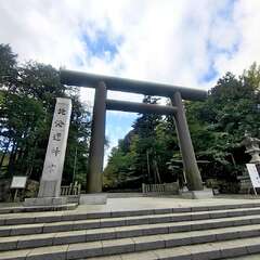 投稿日:2025年11月25日 写真