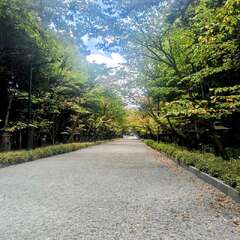 投稿日:2025年11月25日 写真