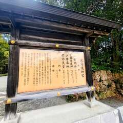 投稿日:2025年11月25日 写真