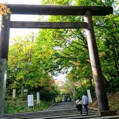 投稿日:2021年5月29日 写真