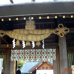 投稿日:2025年8月12日 写真