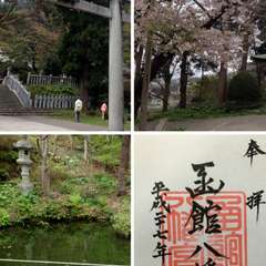 投稿日:2016年8月22日 写真