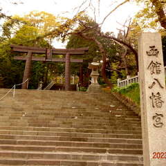 投稿日:2025年6月26日 写真