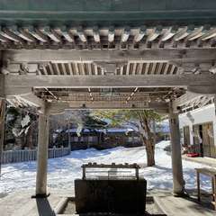 投稿日:2024年2月8日 写真