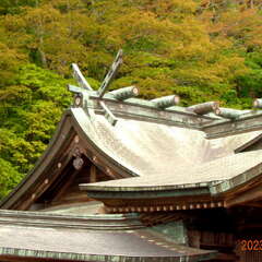 投稿日:2025年6月26日 写真