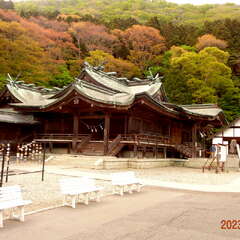 投稿日:2025年6月26日 写真