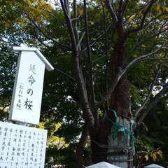 投稿日:2023年10月12日 写真