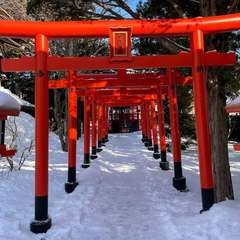 投稿日:2023年2月3日 写真