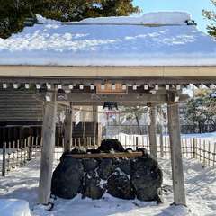 投稿日:2023年2月3日 写真