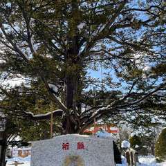 投稿日:2023年2月3日 写真