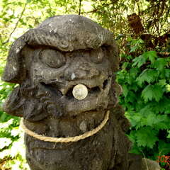 恵美須神社(投稿日:2025年6月27日) 写真