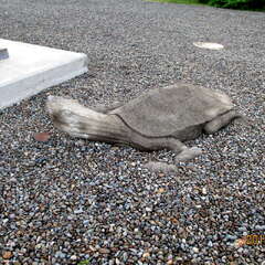 風連神社(投稿日:2025年8月13日) 写真