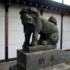 投稿日:2025年8月13日 写真