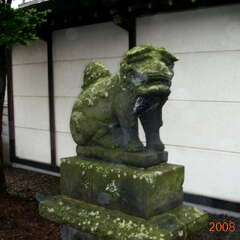 投稿日:2025年8月12日 写真