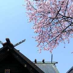 投稿日:2018年5月29日 写真