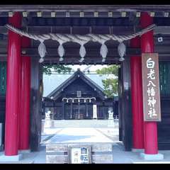 投稿日:2018年5月29日 写真