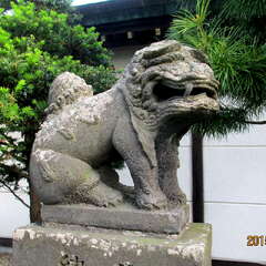 投稿日:2025年8月13日 写真