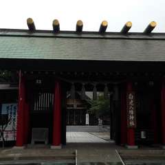 投稿日:2016年8月22日 写真