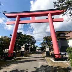 投稿日:2025年11月28日 写真