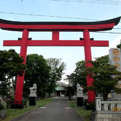 投稿日:2025年8月13日 写真