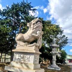 投稿日:2025年11月28日 写真