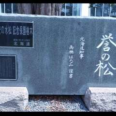 投稿日:2018年5月29日 写真