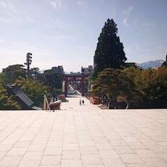 投稿日:2021年5月16日 写真