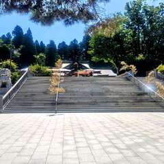 投稿日:2025年10月31日 写真