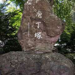 投稿日:2019年11月9日 写真