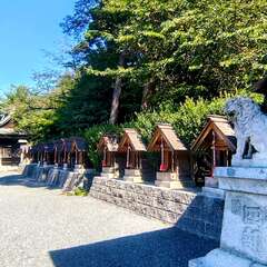 投稿日:2025年10月31日 写真