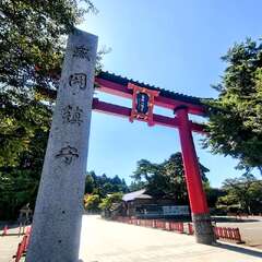 投稿日:2025年10月31日 写真