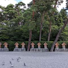 投稿日:2019年11月9日 写真