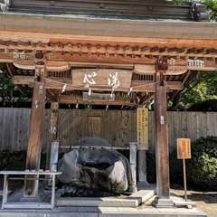 投稿日:2019年11月9日 写真