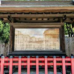 投稿日:2019年11月9日 写真