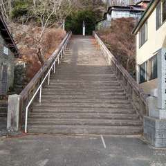 入口から参道(投稿日:2020年2月9日) 写真