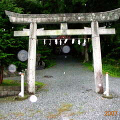 尾崎神社(投稿日:2025年10月25日) 写真
