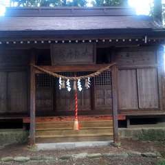 す~んごい御神木の切り株が在りました。立っている姿を見たか良いものを見せて頂きました(投稿日:2019年9月16日) 写真