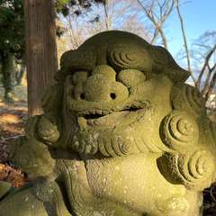 投稿日:2023年12月27日 写真