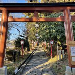 投稿日:2023年12月27日 写真