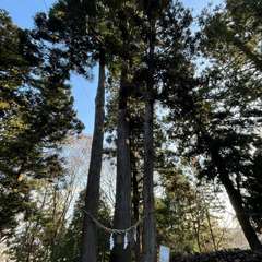 投稿日:2023年12月27日 写真