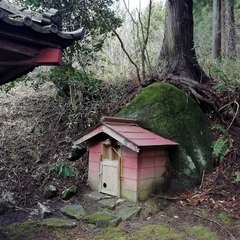 お穴と思われる。巨石と巨木に包まれているのが素敵である。(投稿日:2021年3月29日) 写真