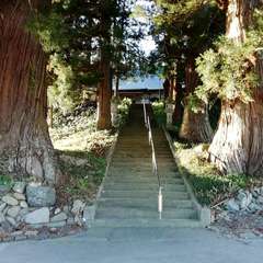 萬福寺参道。杉が太い。(投稿日:2020年10月20日) 写真