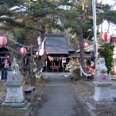 写真