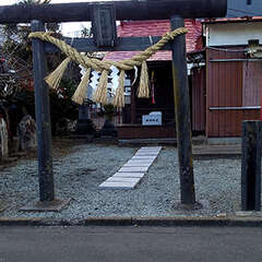 写真