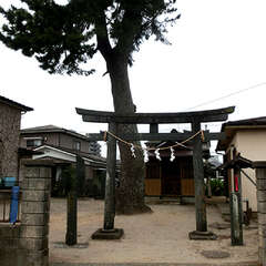 写真