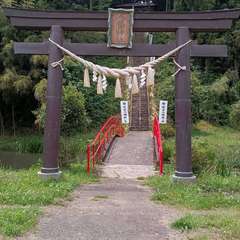 坪沼八幡神社(投稿日:2024年10月4日) 写真