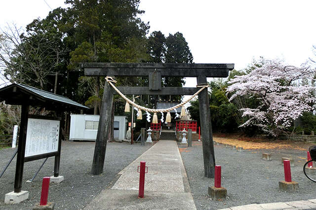 写真