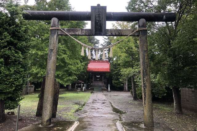 写真